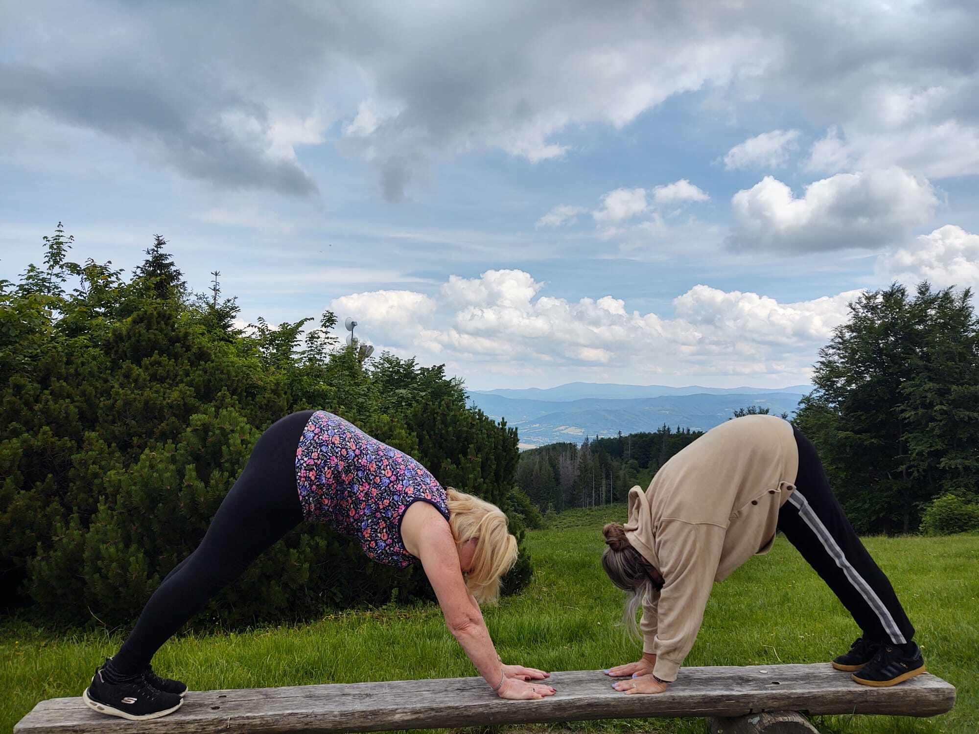 Mountain Top - Downward facing dog